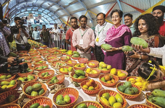 Фестиваль индийского манго состоится в Москве